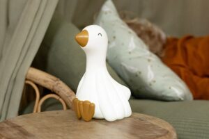 Nachtlampje Little Goose Little Dutch