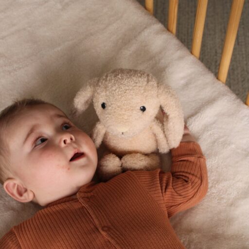 Nachtlampje Milo Plush Flow