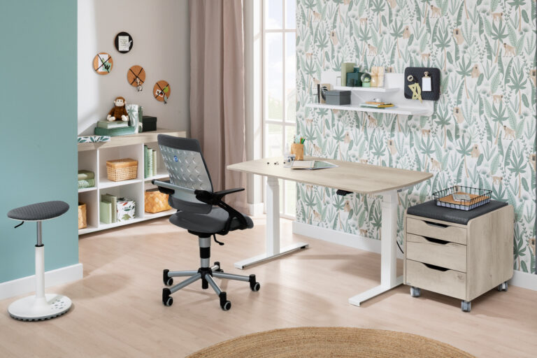 Bureau elektrisch e-lion 1 van Paidi