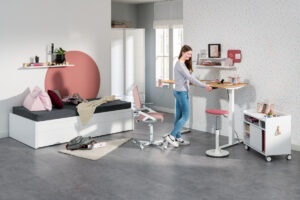 Bureau elektrisch e-lion 1 van Paidi