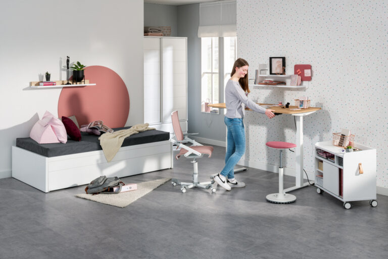 Bureau elektrisch e-lion 1 van Paidi