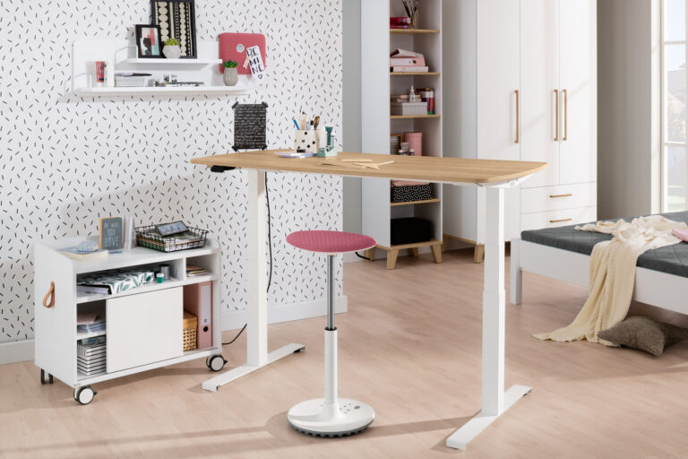 Bureau elektrisch e-lion 1 van Paidi