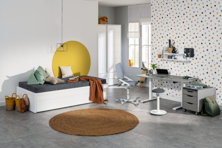 Bureau elektrisch e-lion 1 van Paidi