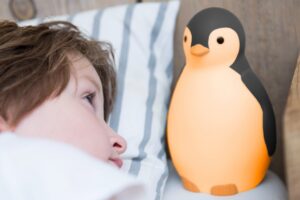 Slaaptrainer en Nachtlampje Pam Grijs Zazu