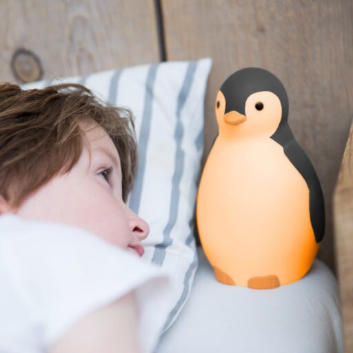 Slaaptrainer en Nachtlampje Pam Grijs Zazu
