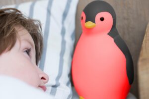 Slaaptrainer en Nachtlampje Pam Grijs Zazu