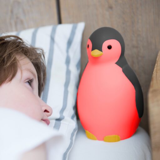 Slaaptrainer en Nachtlampje Pam Grijs Zazu