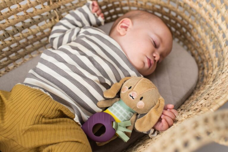 Rammelaar Jenny The Bunny Taf Toys