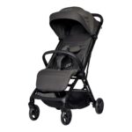 PLOOIBUGGY ANTRACIET RE-ACT KOELSTRA