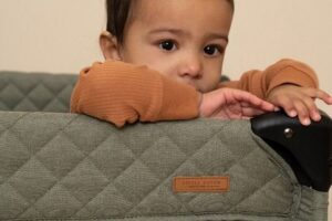 Reisbed Olive Little Dutch