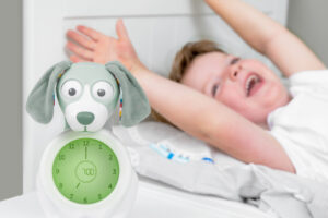 Slaaptrainer Dog Davy Groen Zazu Kids