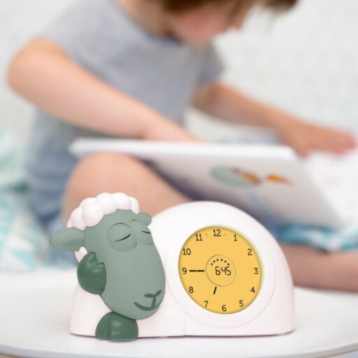 Slaaptrainer Schaap Sam Old Green Zazu Kids