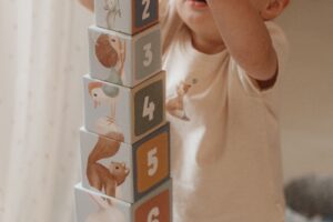 Stapelblokken Forest Friends Little Dutch