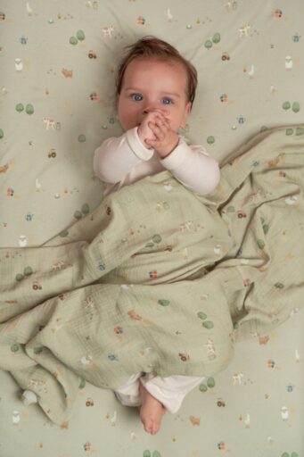 Swaddle Doek Little Farm 120×120 Cm Little Dutch