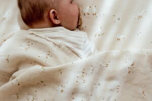Swaddle Doek Muslin Little Goose 120×120 Cm Little Dutch