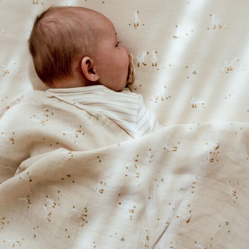 Swaddle Doek Muslin Little Goose 120×120 Cm Little Dutch