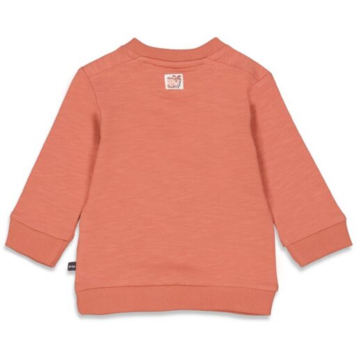 Sweater Good Vibe Tribe 68 Feetje