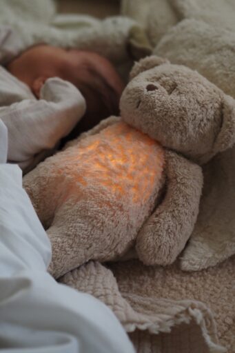 Knuffel The Humming Bear Sand Moonie
