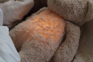 Knuffel The Humming Bear Sand Moonie