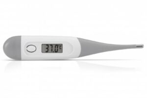 Thermometer Digitaal Grijs Alecto