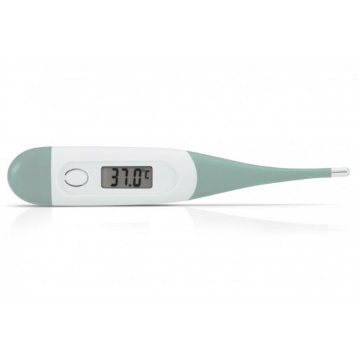 Thermometer Digitaal Groen Alecto
