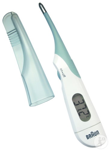 Thermometer PRT1000 Braun