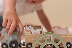 Treinset Little Farm Little Dutch