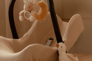 Set Trilfiguren Newborn Naturals Little Dutch