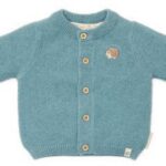 Vestje Gebreid Blauw Maat 56 Little Dutch