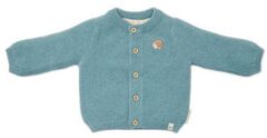 Vestje Gebreid Blauw Maat 56 Little Dutch