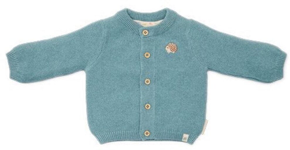 Vestje Gebreid Blauw Maat 56 Little Dutch
