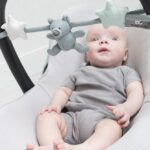 Wagenspanner Stonegreen/Mint/Wit Baby's Only