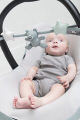 Wagenspanner Stonegreen/Mint/Wit Baby's Only