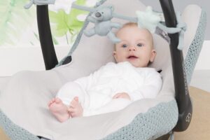 Wagenspanner Stonegreen/Mint/Wit Baby’s Only