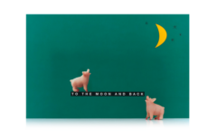Wenskaart Luckies To The Moon And Back