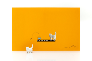 Wenskaart Luckies Kat