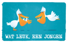 Wenskaart Wat Leuk Een Jongen
