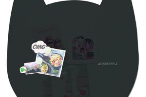 Wonderwall Magneetbord Kat Zwart Large