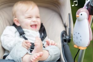 Muziekdoos en Nachtlampje Zoe Roze Zazu
