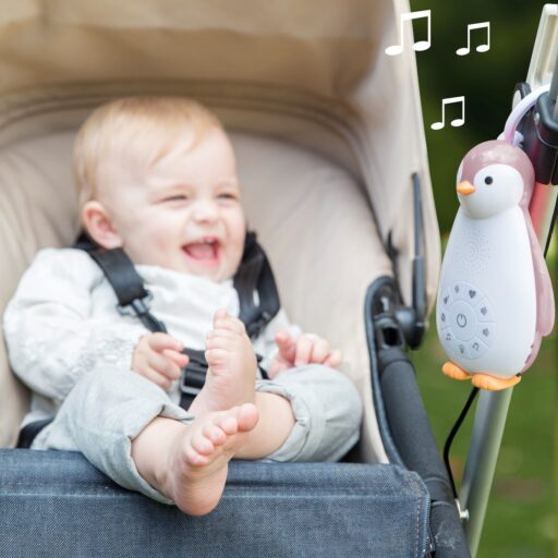 Muziekdoos en Nachtlampje Zoe Roze Zazu
