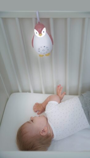 Muziekdoos en Nachtlampje Zoe Roze Zazu